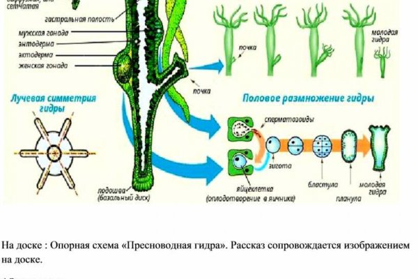 Что такое кракен в даркнете